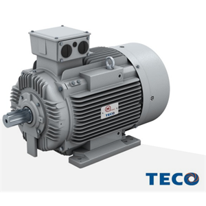 MOTOVARIO 铸铁电机 IEC AESV-AESU
