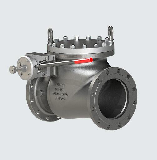 Check valve.jpg