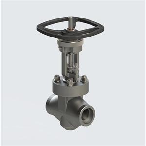 valcogroup球阀Globe Valve