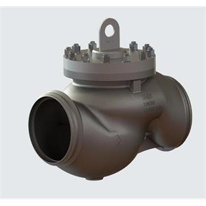 valcogroup活塞阀Piston Type Lift Check Valves
