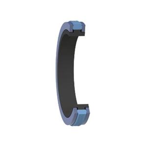 FRANCE JOINT液压密封件 / 活塞密封件BECA 513