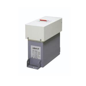 LIFASA带断路器的电容器CPM4405