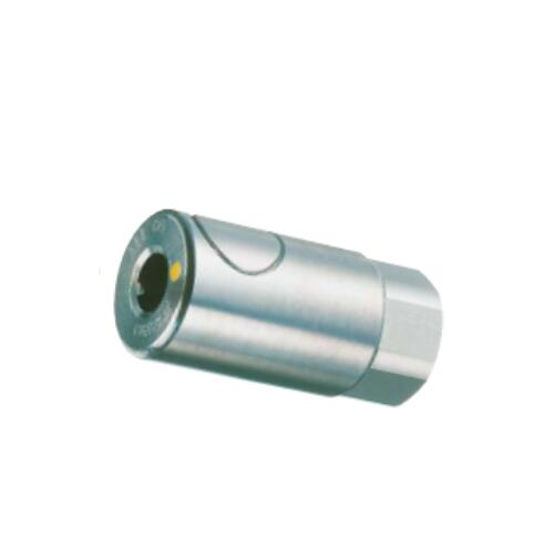 RBS08.1253IC.jpg