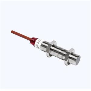 ege-elektronik 自动传感器IGMT 02 GSP