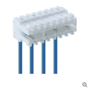 Lumberg 用于直接配对的RAST 2.5连接器351800